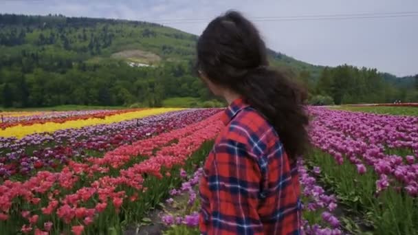 年轻的白种女性走在美丽的郁金香领域在山上 — 图库视频影像