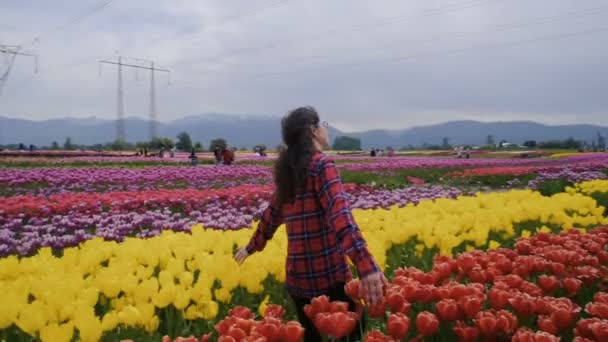 Joven Mujer Caucásica Caminando Hermoso Campo Tulipanes Las Montañas — Vídeos de Stock