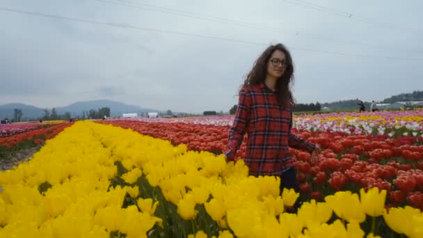 年轻的白种女性走在美丽的郁金香领域在山上 — 图库视频影像