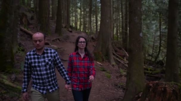 森を歩く若い幸せなカップル — ストック動画