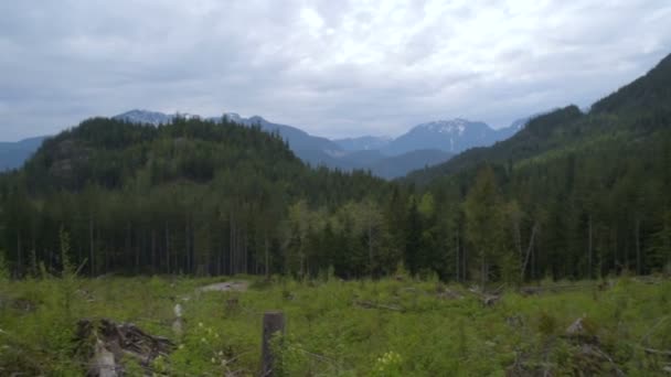 Beautiful Mountain Panoramic View Canada — Stock Video