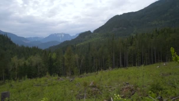 Güzel Dağ Panoramik Kanada — Stok video