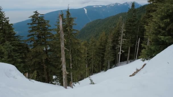 Hermosa Vista Montaña Canadá — Vídeo de stock