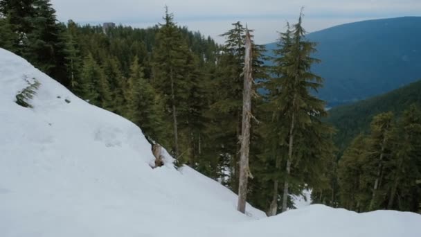 Hermosa Vista Montaña Canadá — Vídeo de stock