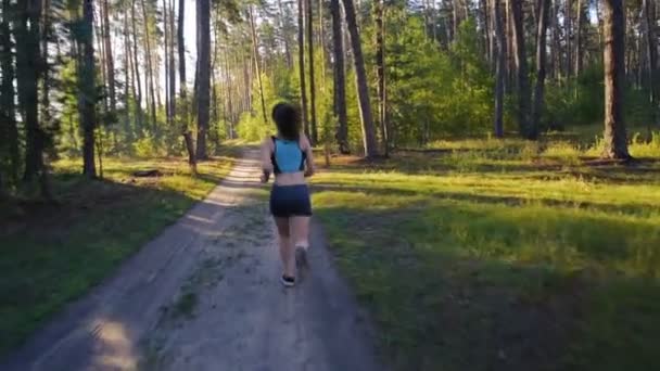 Hembra Joven Corriendo Bosque Cerca Del Lago Atardecer Amanecer — Vídeo de stock