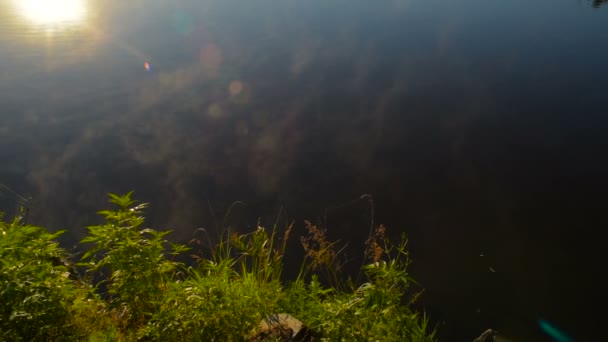 Hermoso Lago Brumoso Durante Amanecer — Vídeos de Stock