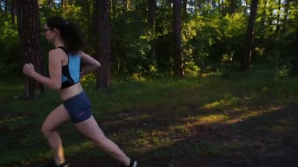 Jovem Fêmea Desportiva Correndo Floresta Perto Lago Durante Pôr Sol — Vídeo de Stock