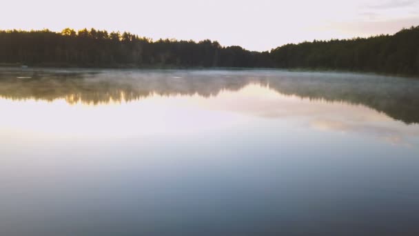 Hermoso Lago Brumoso Durante Amanecer — Vídeo de stock