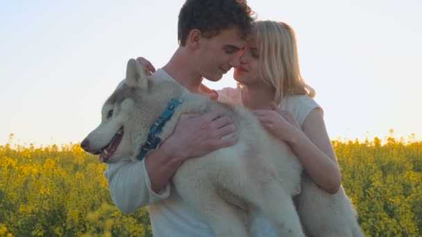 愉快的年轻夫妇与沙哑的狗在黄色绿色强奸草甸 — 图库视频影像
