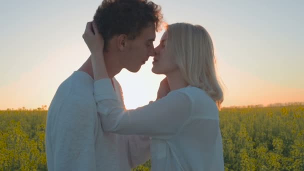 Joyeux Jeune Couple Dans Prairie Viol Jaune Vert — Video
