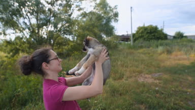 kadın köpekle oynayan köpek barınağı gönüllü olmak tıklayın: