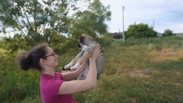 Female Volunteer Dog Shelter Playing Puppy — Stock Video