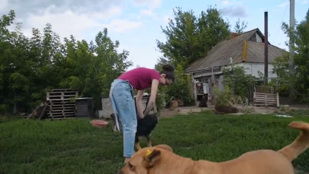 女志愿者在狗收容所玩狗 — 图库视频影像