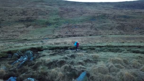 Flygfoto Över Kvinnan Hiker Med Ryggsäck Vandring Nära Floden Wicklow — Stockvideo