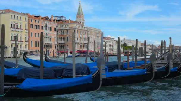 Прекрасный Вид Венецианский Гранд Канал Гондолами Домами — стоковое видео