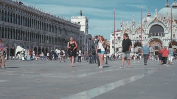Tłumnej Piazza San Marco Wenecji — Wideo stockowe