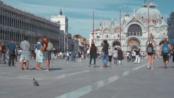 Crowdy Piazza San Marco Venetië — Stockvideo