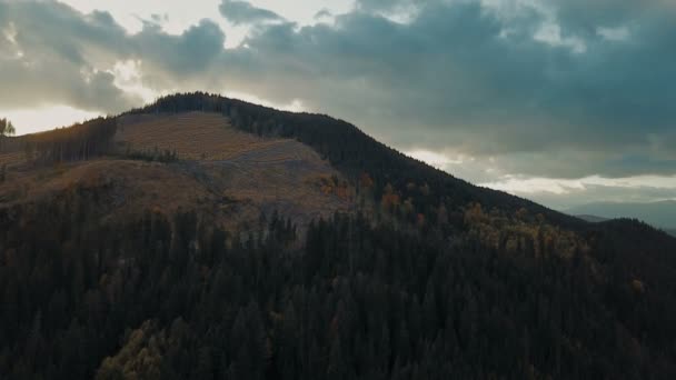 Vista Aérea Deforestación Las Montañas Cárpatos Concepto Problemas Ambientales — Vídeo de stock