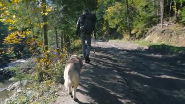 Hane Med Ryggsäck Och Siberian Husky Hund Vandring Nära Floden — Stockvideo