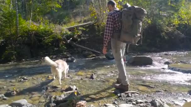 Férfi Folyó Közelében Túrázás Hátizsák Szibériai Husky Kutya — Stock videók