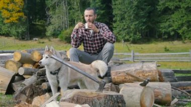 Sibirya husky köpek ile doğranmış ahşap üzerine çay içme adam