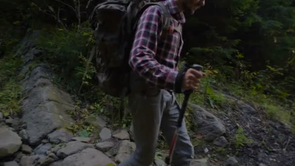 Hombre Senderismo Bosque Con Mochila — Vídeos de Stock