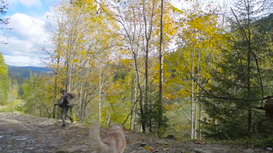 Erkek ile ormanda hiking sırt çantası ve Sibirya husky köpek