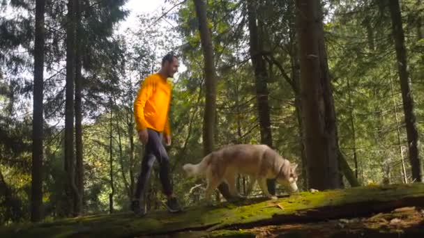 Hombre Con Perro Husky Siberiano Corriendo Bosque Montaña Sendero Corriendo — Vídeos de Stock