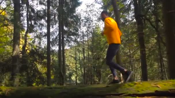 Hombre Corriendo Bosque Montaña Sendero Corriendo — Vídeo de stock