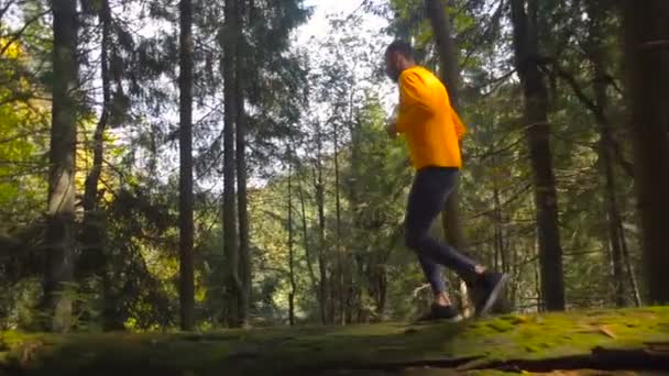 Homem Correndo Floresta Montanha Trilha Correr — Vídeo de Stock