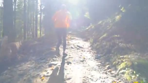 Man Loopt Bergbos Trail Running — Stockvideo