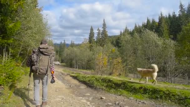 Αρσενικό Σακίδιο Και Σιβηρίας Μεγαλόσωμος Σκύλος Πεζοπορία Στο Δάσος — Αρχείο Βίντεο