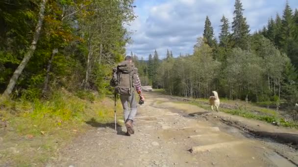 Erkek Ile Ormanda Hiking Sırt Çantası Sibirya Husky Köpek — Stok video