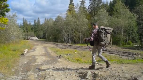 Man Met Rugzak Siberische Husky Hond Wandelen Het Bos — Stockvideo