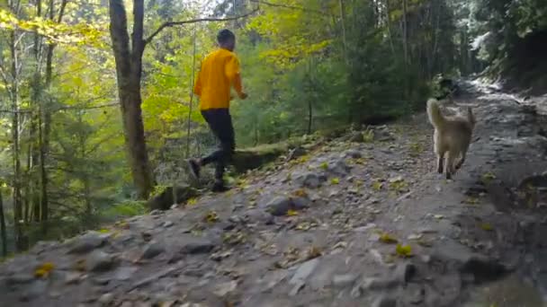 人与西伯利亚沙哑的狗跑在山森林 跟踪运行 — 图库视频影像