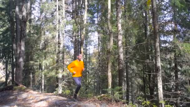 Hombre Corriendo Bosque Montaña Sendero Corriendo — Vídeos de Stock