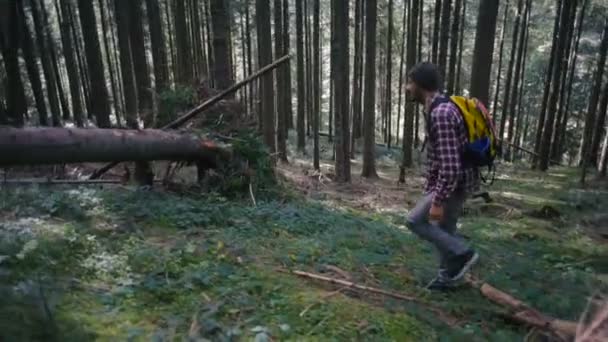Homem Caminhando Floresta Com Mochila — Vídeo de Stock