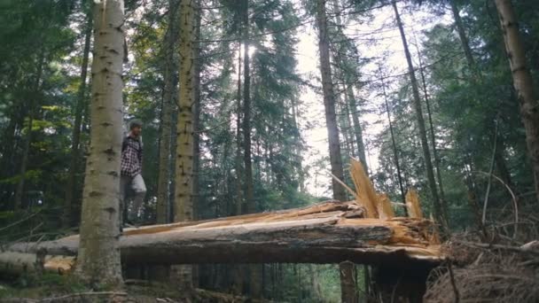Mann Wandert Mit Rucksack Wald — Stockvideo