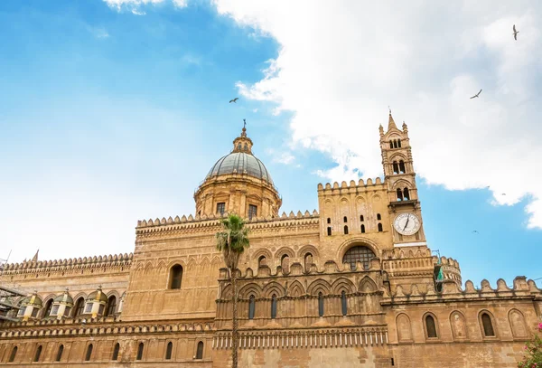 Palermo Katedrali, Sicilya, İtalya 