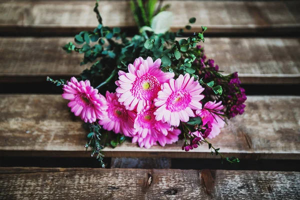 Schöne Rosa Astern Aus Nächster Nähe — Stockfoto