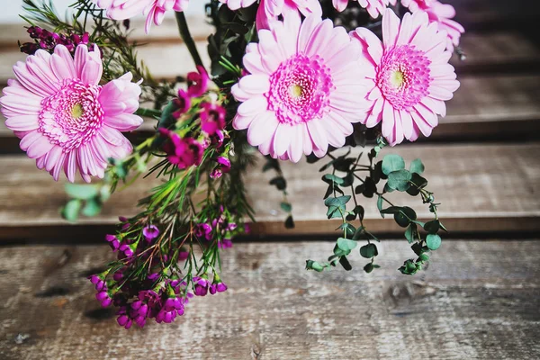 Schöne Rosa Astern Aus Nächster Nähe — Stockfoto