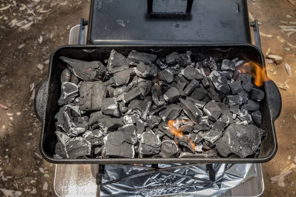 Kolen worden verbrand in een Bbq grill — Stockfoto