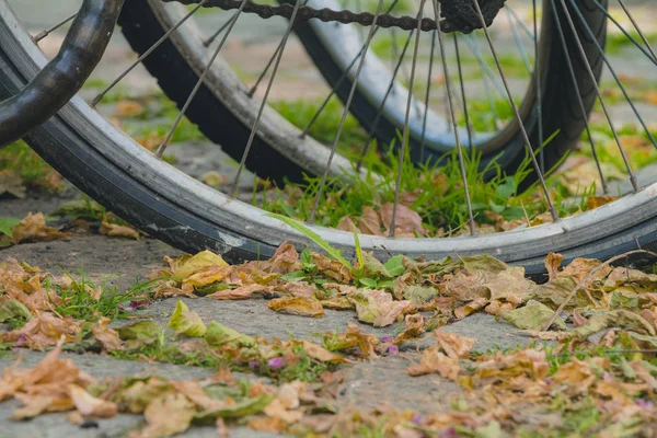 Roues de vélo avec de nombreuses feuilles sèches sur le trottoir en automne da — Photo