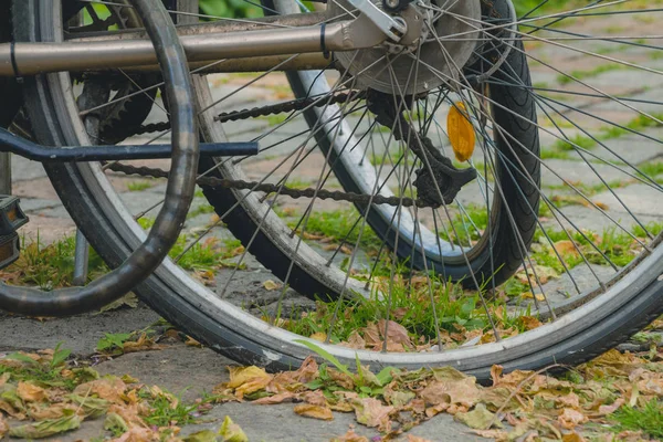 Roues de vélo avec de nombreuses feuilles sèches sur le trottoir en automne da — Photo