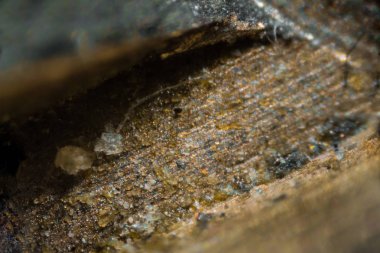 Anahtar bir metal yüzeye dokunarak mikroskop altında