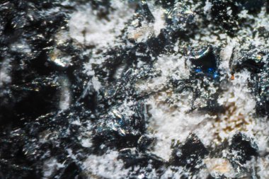 Mikroskop altında siyah tırnak törpüsü