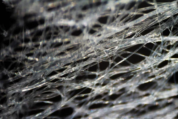 Islak mendil kumaş mikroskop altında