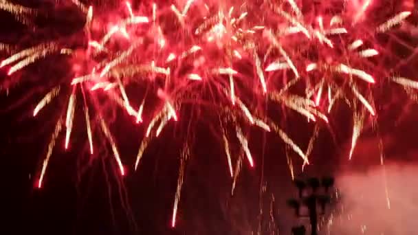 Fogos de artifício explodindo no céu noturno na celebração do dia da independência de Israel 2017 — Vídeo de Stock