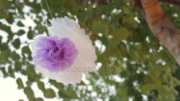 Decoração de festa de aniversário roxo e branco — Vídeo de Stock