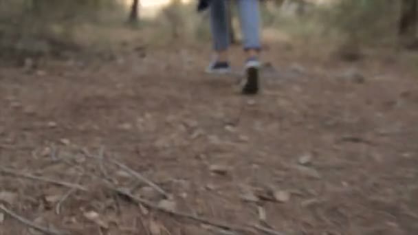 Κινηματογράφηση σε πρώτο πλάνο σε μικρό κορίτσι πόδια που τρέχουν στο δάσος — Αρχείο Βίντεο